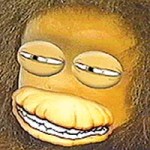 Movieside Film Festival