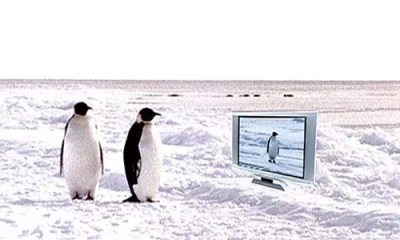 Farce of the Penguins