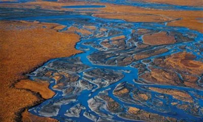 The vanishing ecosystem of the Arctic National Widlife Refuge is beautifully documented in Subhankar Banerjee’s Terra Incognita.