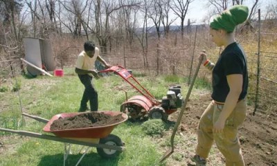 Laying the Legal Groundwork