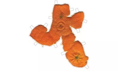 The Pittsburgh Center for the Arts’ Artist and Emerging Artist of the Year shows enliven two-dimensionality.