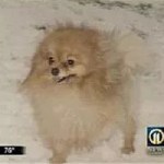 This Just In: October 10 – 17