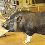 This Just In: Nov 14 – 21