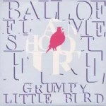 Ball of Flame Shoot Fire releases top-notch debut