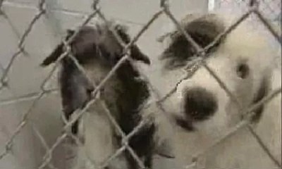 This Just In: Jan 16 – 23