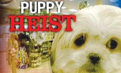 This Just In: Feb 20 – 27