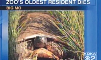 This Just In: April 2 – 9