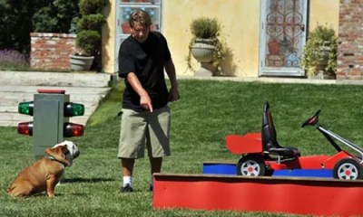 Greatest American Dog: The Pack Has Spoken