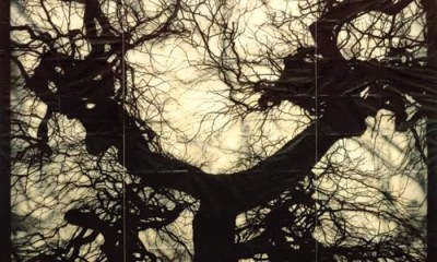 Mike and Doug Starn show how too much light can unnerve.