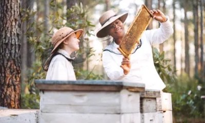 The Secret Life of Bees