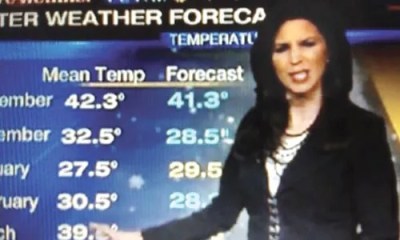 This Just In: November 13 – 20