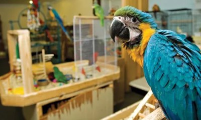 Best of 2008 Staff Picks: goods + services