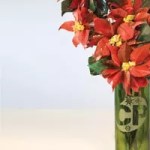 Unseasonable Climate