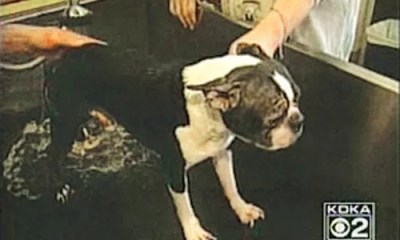 This Just In: January 15 – 22