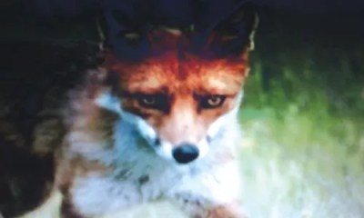 This Just In: May 28 – June 4