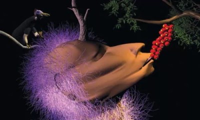 Step into the surreal, unnerving world of James Duesing’s animations.