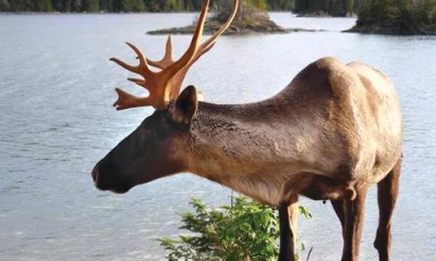 Mysteries of the Great Lakes