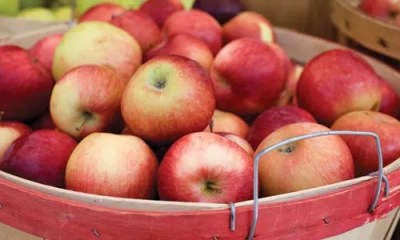 Short List: Week of October 22 – 29