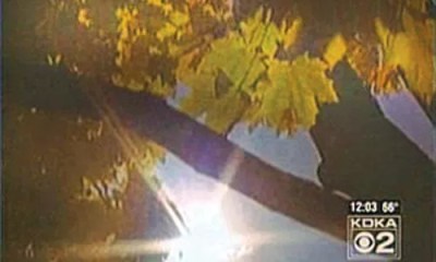 This Just In: October 29 – November 5