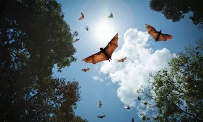 Short List: Week of April 1 – 8