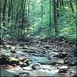 Drill at the ‘Mill?