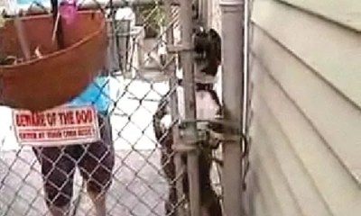 This Just In: September 2 – 9