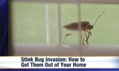 This Just In: September 30 – October 7