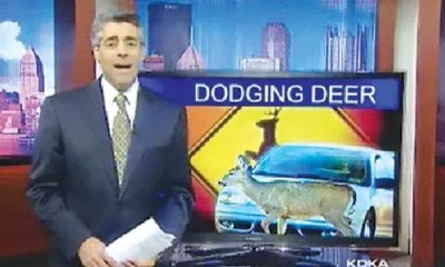 This Just In: October 21 – 28