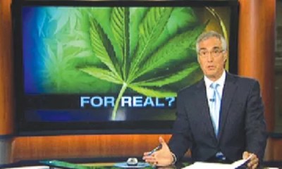 This Just In: October 28 – November 4