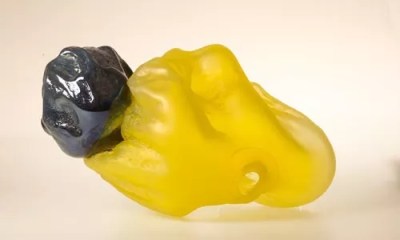 Kathleen Mulcahy and Ron Desmett