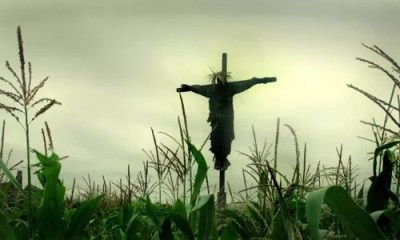 Oscar-Nominated Short Films