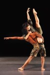 Local dance companies create Double Fantaisie this spring.