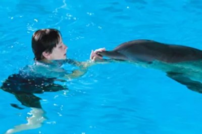 Dolphin Tale