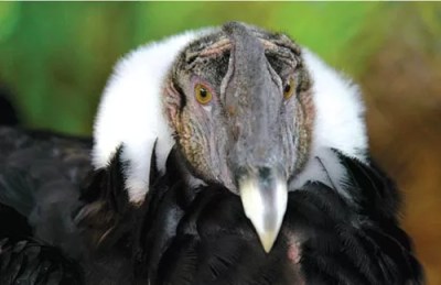 Short List: Week of September 1 – 8