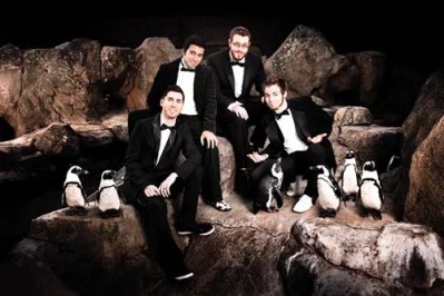 Mace Ballard releases book-smart debut full-length