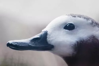 Short List: December 16 – 22