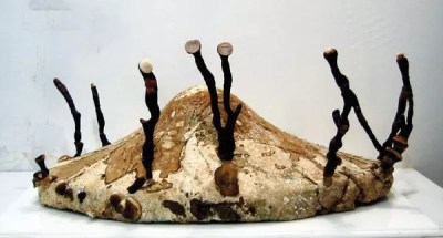 A new exhibition highlights the crossroads of contemporary art and science