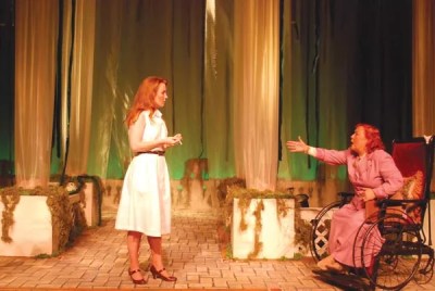 Suddenly Last Summer