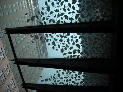 Downtown’s Phantom Gingko Trees