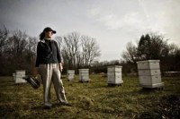 Author, Beekeeping Expert Speaks Here Tomorrow