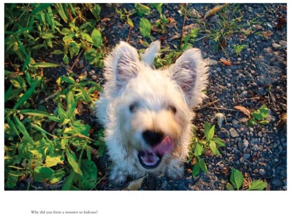 The PCA Artist of the Year makes the most of couple of dogs and some classic literary works