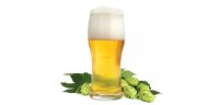 Local breweries offer chance to taste fresh hops — if you act fast