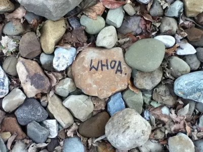 Less Rock, More Talk