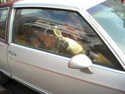 At Least He’s Not Driving