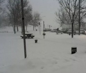 Save Snow, Save Money!