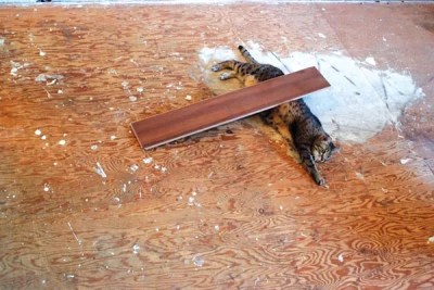 At SPACE, a group show seeks to recapture youth.