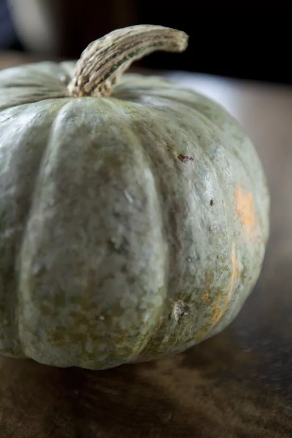 food_twisted_thistle_lingrow_farm_kobacho_pumkin_8280.webp