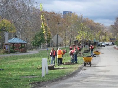 TreeVitalize kicks off spring planting season, calls for volunteers