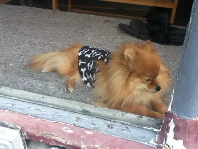 Things We Like to See