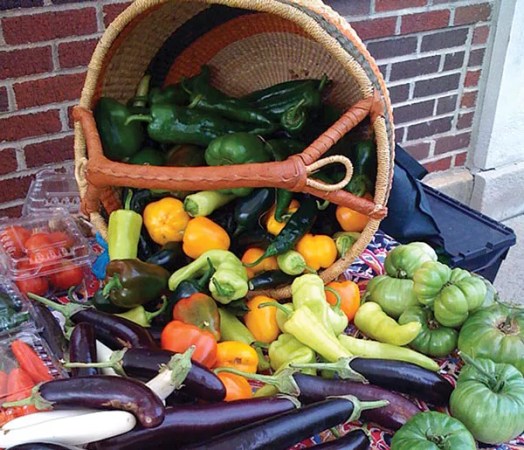 With help from Salt, Garfield Community Farm celebrates the harvest